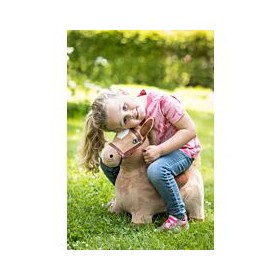 Cavallo gonfiabile Hkm