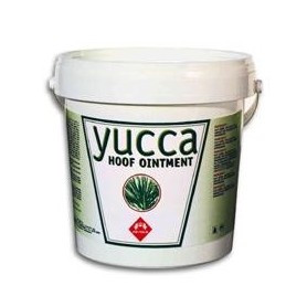 Yucca