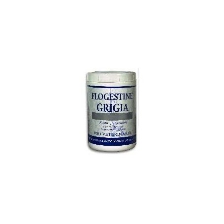 Flogestine grigia