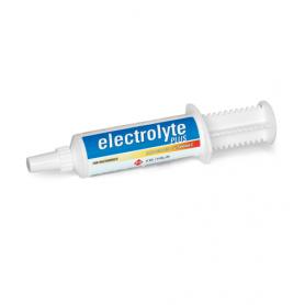 Electrolyte plus