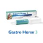 Gastro Horse 3