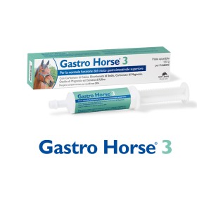 Gastro Horse 3