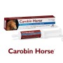 Carobin  Horse
