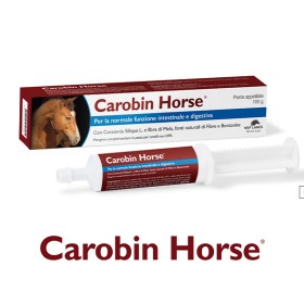 Carobin  Horse
