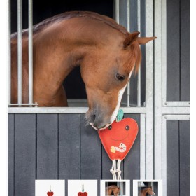 Gioco per cavalli QHP