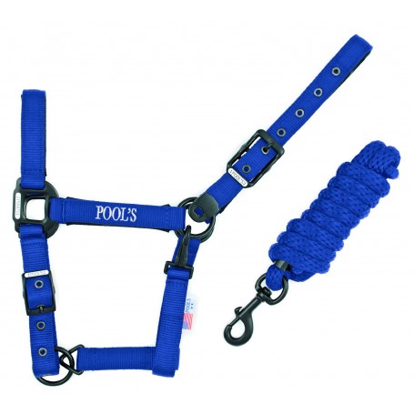 QHP Cavezza Per Puledro E Annuale Regolabile In 2 Posizioni | Colore Blu | Nylon Con Ferramenta Acciaio Inox