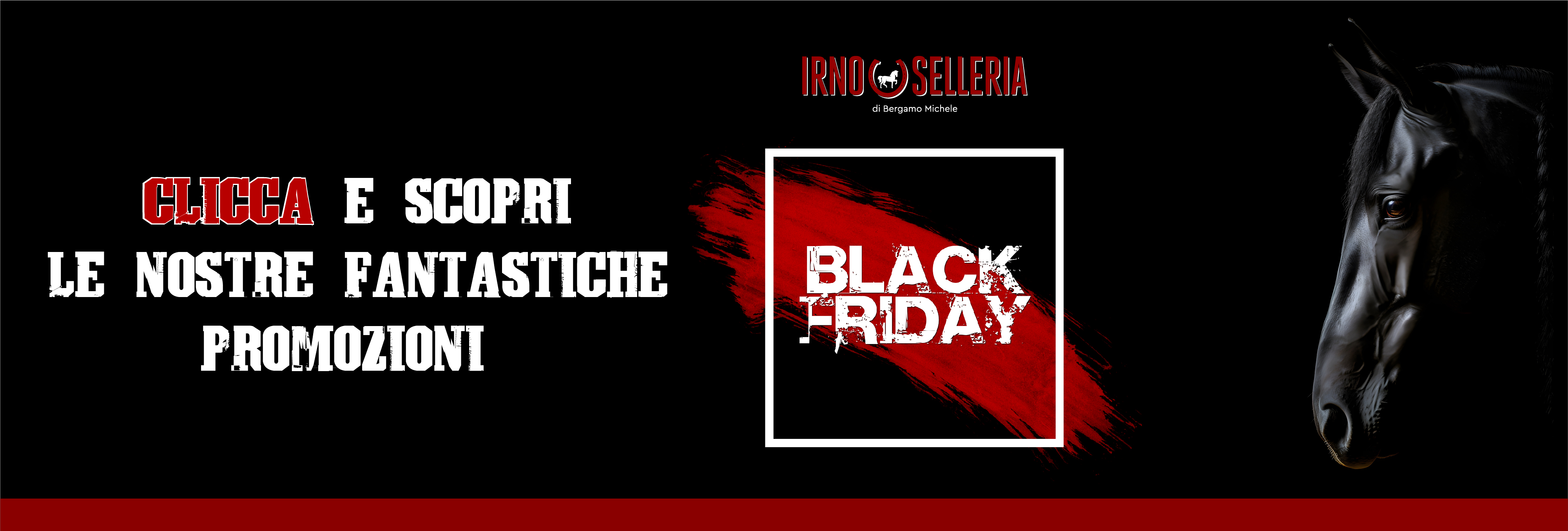 Promo Black Friday